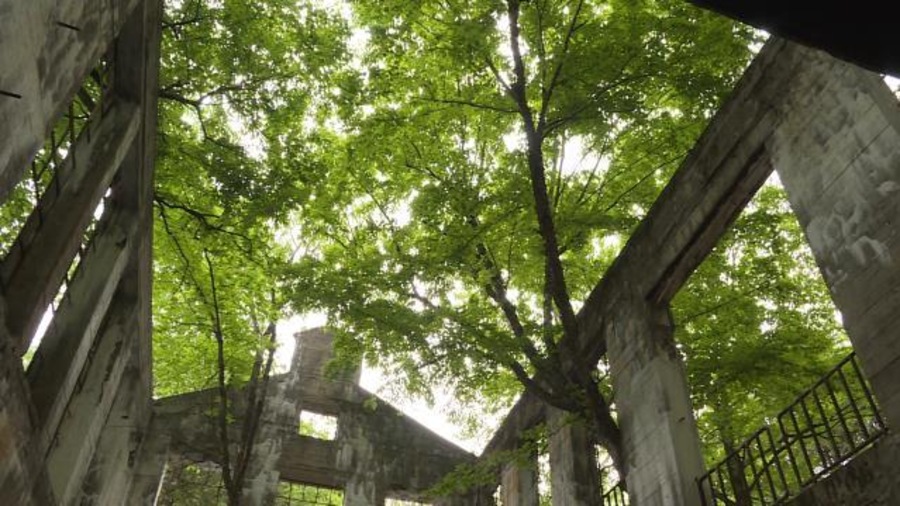 Bâtiment en ruine sans toit avec des arbres qui poussent par les fenêtres. Bâtiment en ruine sans toit avec des arbres qui poussent par les fenêtres.