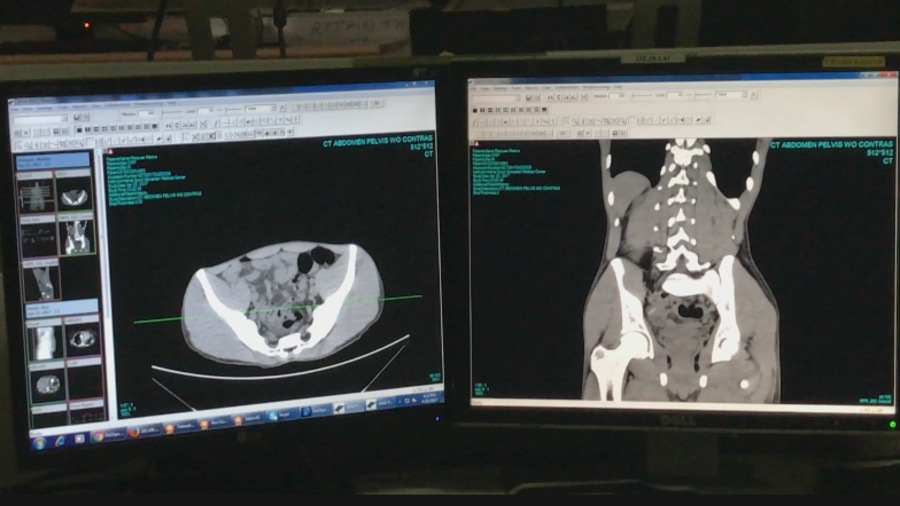 Les imageries médicales sont reçues à travers un serveur sécurisé. Les imageries médicales sont reçues à travers un serveur sécurisé.