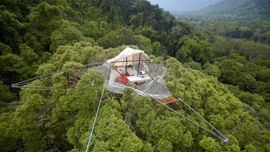 Le Radeau des cimes surplombe une forêt laotienne. Le Radeau des cimes surplombe une forêt laotienne.
