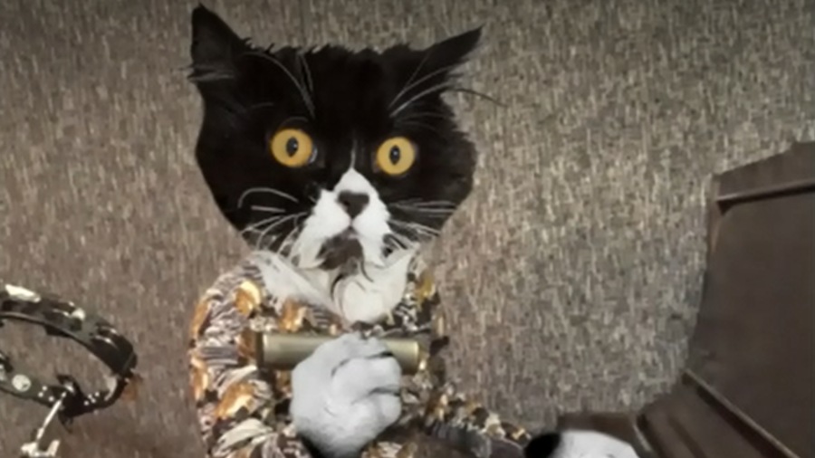 Un homme à la tête de chat se tient devant un piano. Un homme à la tête de chat se tient devant un piano.