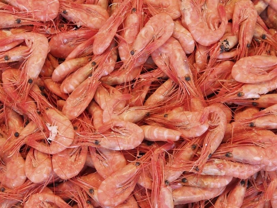 Crevettes Crevettes