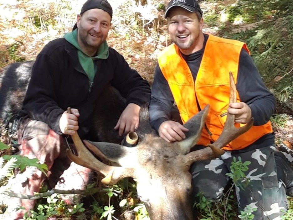 Jonathan Doire et David Dussault tiennent les bois d'un orignal abattu. Jonathan Doire et David Dussault tiennent les bois d'un orignal abattu.