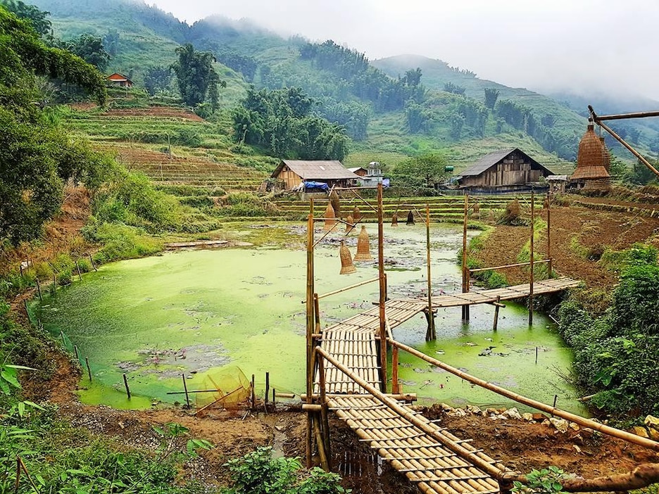 La vallée de Muong Hoa, à Sa pa, au Vietnam La vallée de Muong Hoa, à Sa pa, au Vietnam