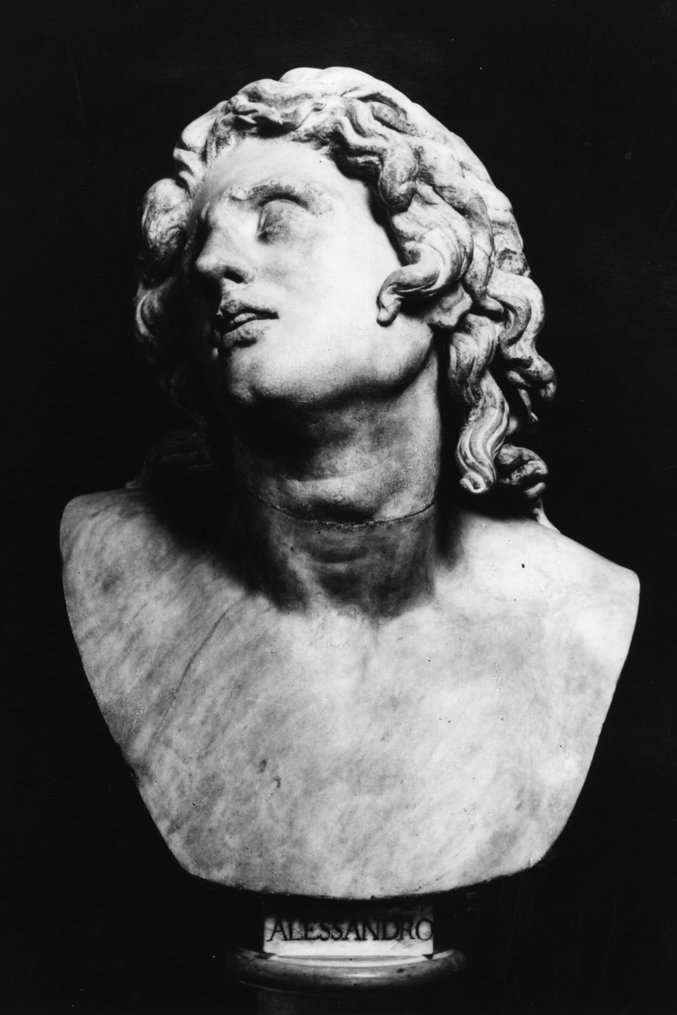 Buste d'Alexandre le Grand portant le nom « Alessandro » au bas. Buste d'Alexandre le Grand portant le nom « Alessandro » au bas.