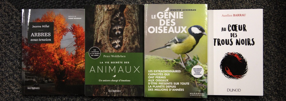 Quatre couvertures de livre alignées. Quatre couvertures de livre alignées.